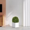 Dexmalle 2Pieces 22in Artificial Topiary Boxwood Ball Trees - 3 of 4