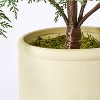 Small Artificial Feathery Pine Tree - Threshold™ designed with Studio McGee - image 4 of 4