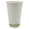 Planet+ 16 oz Compostable Hot Cup PLA Lined SFI Paper - Pack of 12 - 2 of 3