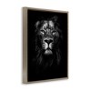 Stupell Industries Lion In Shadows Photography Floating Frame Canvas Art - 2 of 4