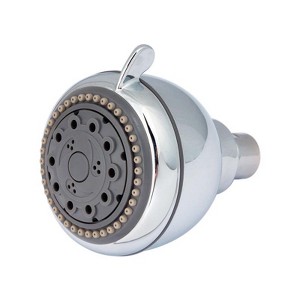 Whedon Champagne Massage Chrome Plastic 5 settings Showerhead 2.5 gpm - 1 of 1