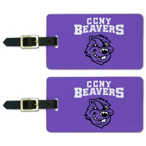 City College of New York Primary Logo Luggage ID Tags Suitcase CarryOn Cards  Set of 2 - 1 of 4