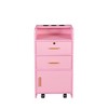 GDFStudio Estelle Modern Beauty Salon Storage Cabinet with 3 Dryer Holders, 2 Drawers, 1 Door and Casters - 4 of 4