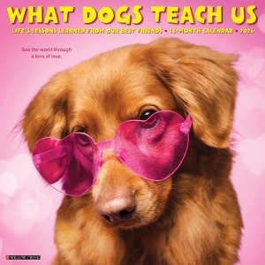 Willow Creek Press 2026 What Dogs Teach Us Wall Calendar - 1 of 4