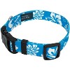 Country Brook Petz Deluxe Dog Collar - Summer Breeze Collection - Made in The U.S.A. - 4 of 4