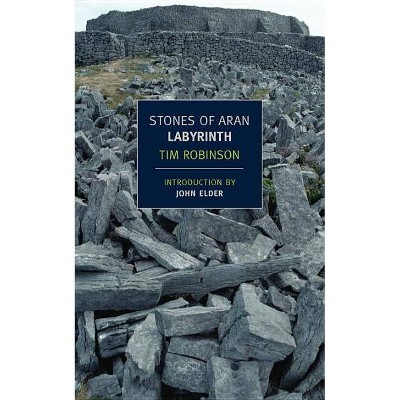 Stones of Aran: Labyrinth - by  Tim Robinson (Paperback)