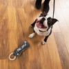 Pavilion Gift Company - Dog Bone - 12" Canvas Dog Toy on Rope - Pet Toy - 2 of 4
