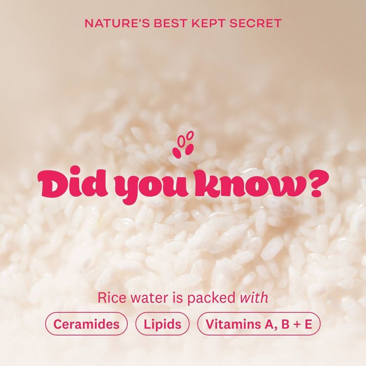 The Face Shop Rice Water Bright Vegan Foaming Cleanser - 5 fl oz: Hydrating, Makeup Removal, Normal, Oily, Combination, Dry Skin, 6 of 12