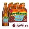 Kona Hanalei Island-Style IPA Beer - 6pk/12 fl oz Bottles - 2 of 4