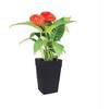 DCN Square Plastic Harmony Self-Watering Tall Planter, Black, 12in - 2 of 2
