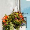 Unique Bargains Plant Hanger with Screws 3.2inch White 2pcs - 3 of 4
