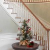 National Tree Company 24" Snowy Glacier Pine Small Tree in Burlap Base Warm White Battery Operated LED Lights with Timer - 2 of 4