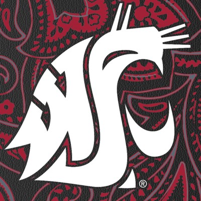 washington state cougars
