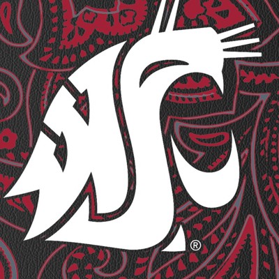 washington state cougars