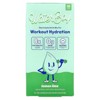 Waterboy Workout Hydration, Electrolyte Drink Mix, Lemon Lime, 10 Stick Packs, 0.22 oz (6.2 g) Each - 4 of 4