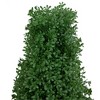Northlight 30" Artificial Boxwood Cone Topiary Tree with Round Pot, Unlit - 3 of 4