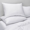 Medium Down Surround™ Bed Pillow - Casaluna™ - image 2 of 4