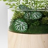 Round Wood Terrarium - Threshold™ - 4 of 4