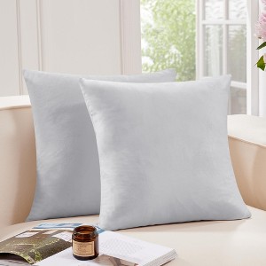 Deconovo Home Velvet Soft Decorative Pillow Covers Invisible Zipper Cushion Cover, 2-Pack - 1 of 4