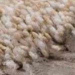 ivory, tan, medium gray, light gray