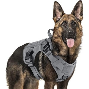 rabbitgoo Tactical Dog Harness for Large, Heavy Duty Pet Harness with Handle, , Adjustable Military Dog Vest for Training Hunting Walking, Grey, XL - 1 of 1