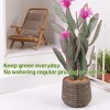 Large decorative artificial cactus, suitable for both indoor and outdoor use, is an ideal choice for homes, offices, entryways, and porches. - 3 of 4