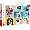 Trefl Cute Dogs Jigsaw Puzzle - 1500pc - 2 of 3