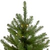 Northlight 9' Prelit Artificial Christmas Tree Full Northern Pine - Clear LED Lights - 3 of 4