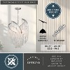 VAXCEL Isabel 4L Satin Nickel Coastal Glam Pendant Chandelier Light with Capiz Shells and Crystal - 4 of 4