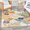 Nourison Suncoast Tropical Indoor/Outdoor Flatweave Rug - 2 of 4