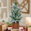 Small Christmas Tree with Lights, 24 Inch Prelit Artificial Mini Christmas Tree, Tabletop Snow Flocked Xmas Tree in Wood Pot for Office Desk - 4 of 4