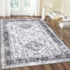 COZONY Large Area Rug - Washable Boho Vintage Distressed, Stain Resistant Non Slip Low Pile Accent Rug for High Traffic - 4 of 4