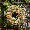 Mixed Gerbera Daisy Wreath 24"D - 2 of 2