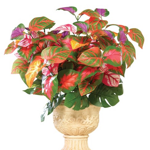 Collections Etc Rainbow Plant Bushes - Set of 3 - image 1 of 2