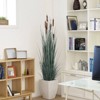Floral Home 3' Grass Bush in Pot - 1-Piece - 3 of 3