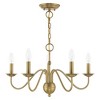 Livex Lighting Windsor 5 - Light Chandelier in  Antique Brass - image 2 of 4