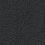 penn state nittany lions