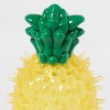 Freezable Interactive Dog Toy - Sun Squad™ - 3 of 3