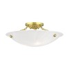 Livex Lighting Oasis 3 - Light Flush Mount in  Polished Brass - 2 of 4