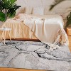 COZONY Washable Abstract Area Rug, Modern Non Slip Soft Carpet for Living Room Bedroom Nursery Dining Room - 3 of 4