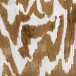 new khaki watercolor animal