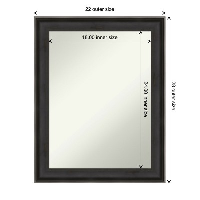Allure Charcoal 28.5" x 22.5" Wood Framed Wall Mirror
