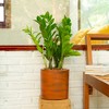 SEVOBAL Planters Hand Painted Terracotta Self Watering Planter Pot Eco Friendly, Self Watering And Artisanal Design, Dark Brown, 7.80"*7.80"*7.80" - 4 of 4