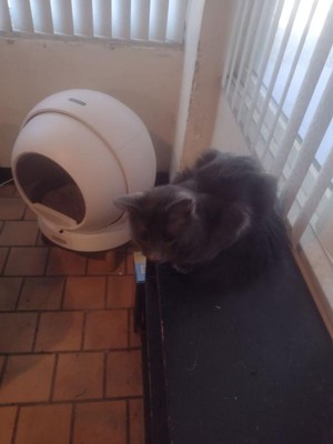 Guest review image 4 of 4, zoom in