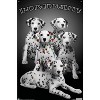 Trends International Keith Kimberlin - Dalmatian Puppies with Colored Spots Unframed Wall Poster Prints - 4 of 4