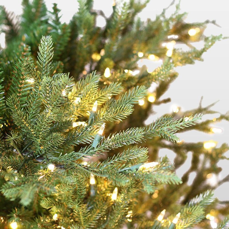7.5ft Pre-Lit Full Berkshire Fir Artificial Christmas Tree - Puleo, 3 of 5
