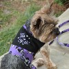 Doggie Design Halloween Ghost Print Dog Harness with Leash - 3 of 4