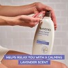 Aveeno Stress Relief Moisturizing Body Lotion with Lavender Scent, Natural Oatmeal to Calm and Relax - image 3 of 4