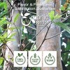 Organic Way Arjuna Bark Powder 8 Oz - 4 of 4
