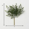 Sullivans Artificial Leafy Green Ruscus Bush 14"H Green - 3 of 3